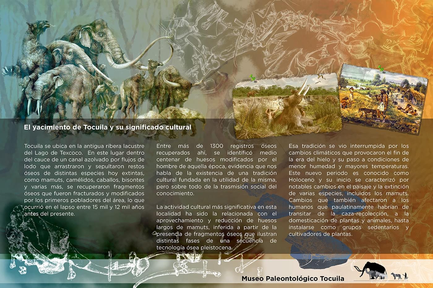 El Cedulario del Museo Tocuila