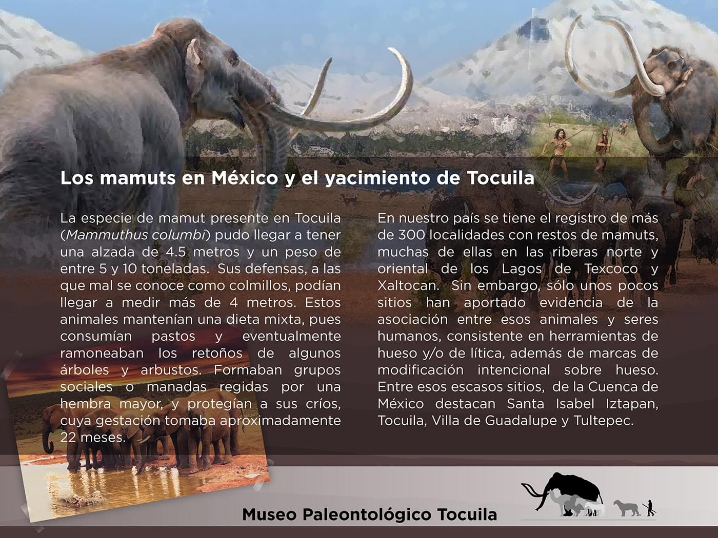 El Cedulario del Museo Tocuila