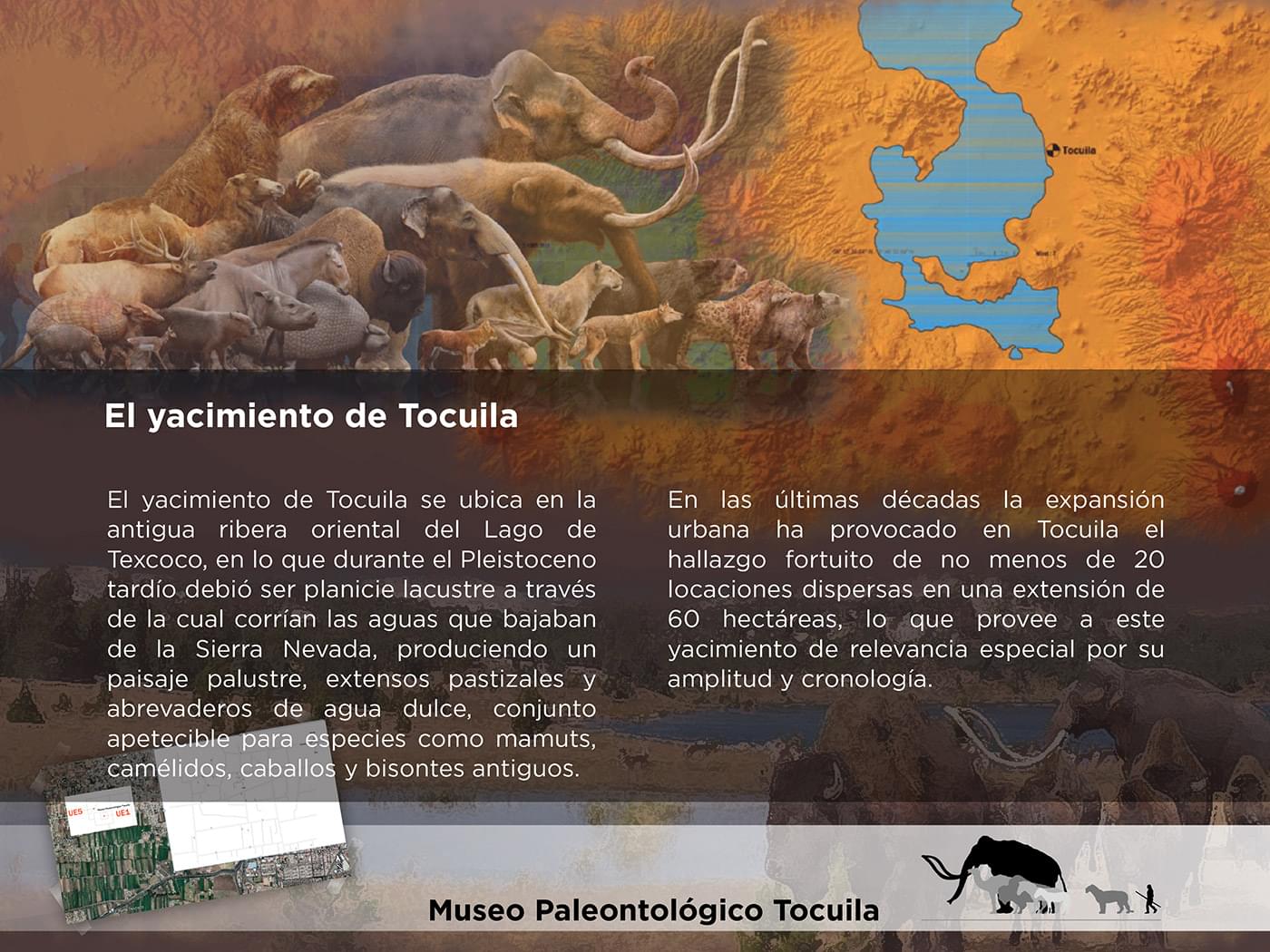 El Cedulario del Museo Tocuila