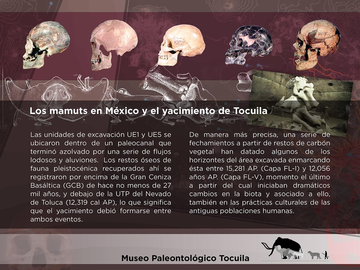El Cedulario del Museo Tocuila