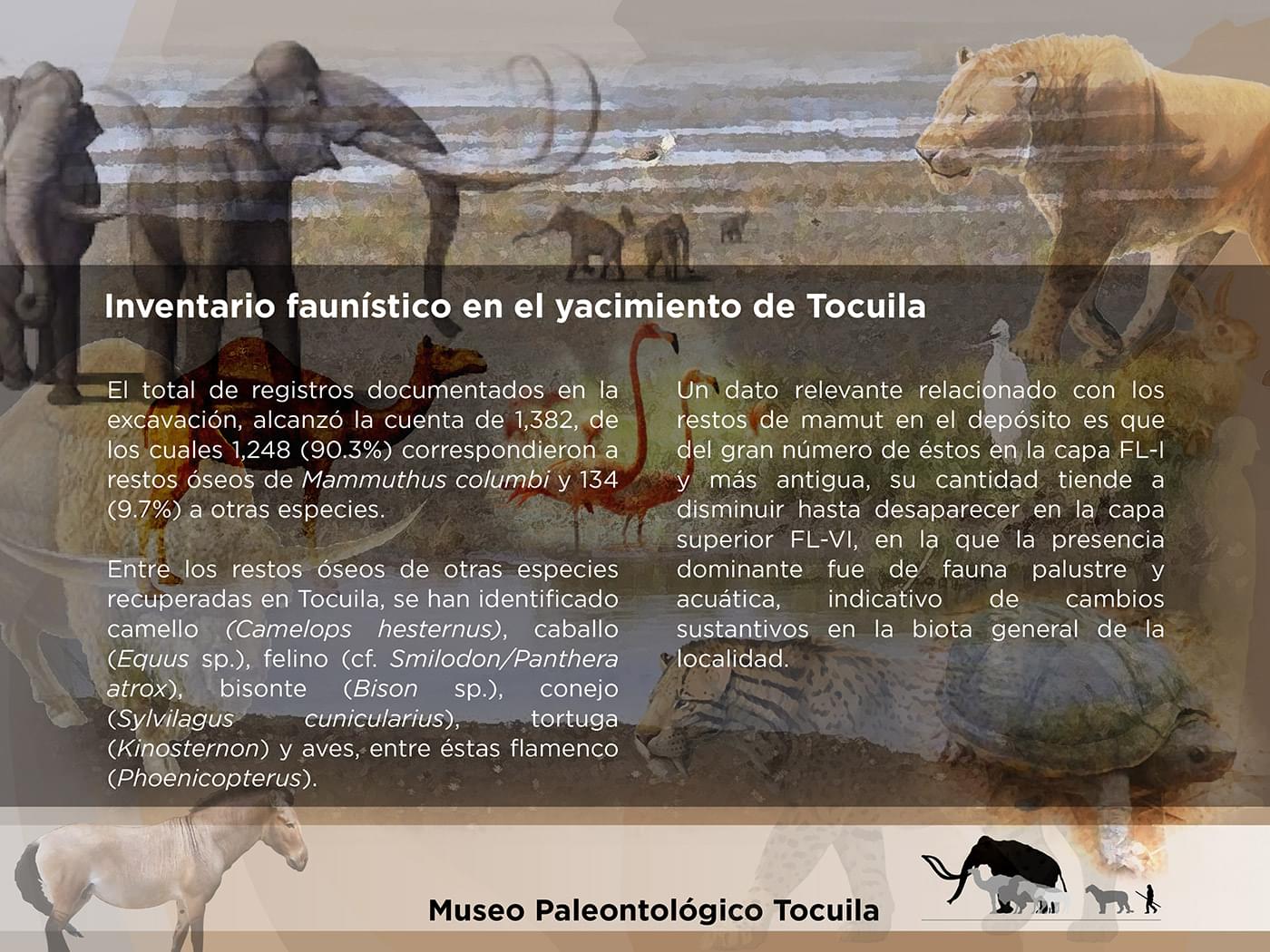 El Cedulario del Museo Tocuila