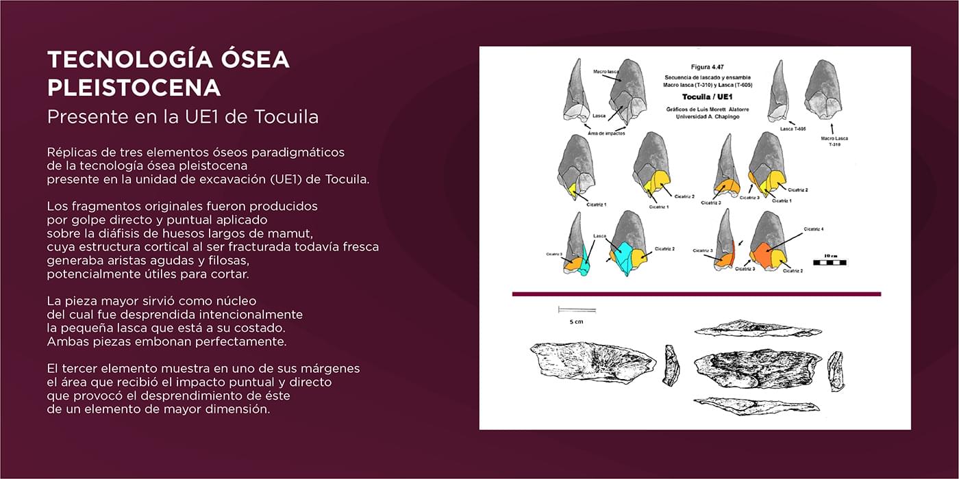 El Cedulario del Museo Tocuila